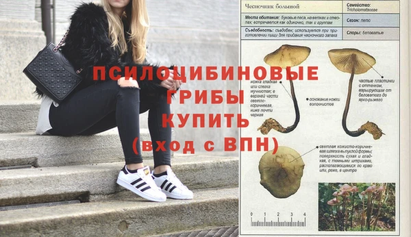 гидропоника Абаза