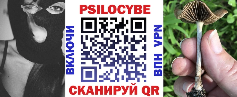 купить  сайты  Советский  Галлюциногенные грибы GOLDEN TEACHER 